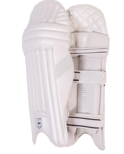 Picture of Focus Limited Edition Batting Pads