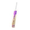 Picture of Champ RESERVE Cricket Bat - 4 Star - SH