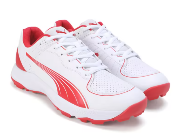 Picture of Puma 24 FH Rubber Cricket Shoes