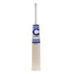 Picture of Champ Test Pro 1.0 English Willow Cricket Bat - Junior