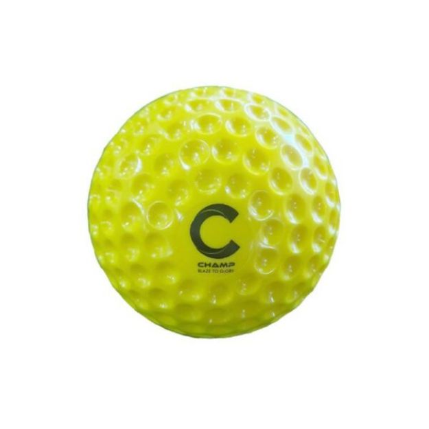 Picture of Champ Bowling Machine Ball