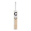 Picture of Champ Test English Willow Cricket Bat - SH