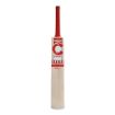 Picture of Champ Test Lite English Willow Cricket Bat – Harrow