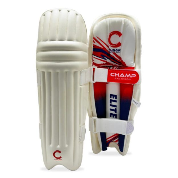 Picture of Champ Elite Moulded Batting Pads - Blue and Red - Junior