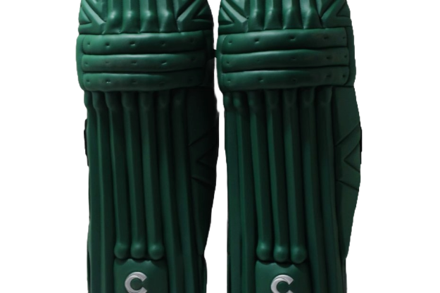 Picture of Champ Test Pro Batting Leg Guard - Green