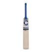 Picture of Champ Test Lite English Willow Cricket Bat – Junior