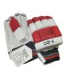 Picture of KH T20 Batting Gloves - Adult
