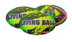 Picture of Living Ball Neon Rugby Ball - Size 3
