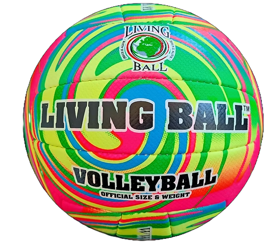 Picture for category Volleyball