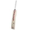 Picture of Champ Colt ELITE 5 Star English Willow Cricket Bat – Size 1