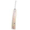 Picture of Champ Colt ELITE 5 Star English Willow Cricket Bat – Size 3