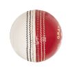 Picture of Gray-Nicolls Test Crown 4 Pc Cricket Ball - 156g