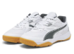 Picture of Puma Solarflash JR II – White Shadow Grey Gum