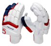 Picture of Champ Limited Edition Batting Gloves
