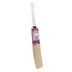 Picture of Champ Colt ELITE 2025 English Willow Cricket Bat – Size 2
