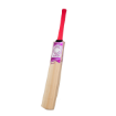 Picture of Champ Retro Cricket Bat - Size 5