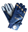 Picture of PURE Indoor Cricket Gloves