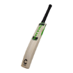 Picture of Champ Test Lite English Willow Cricket Bat – Junior